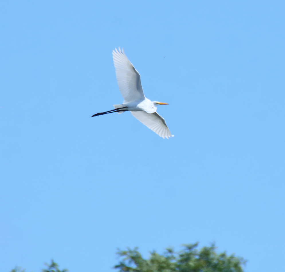 2014 09 07 HTP 85548